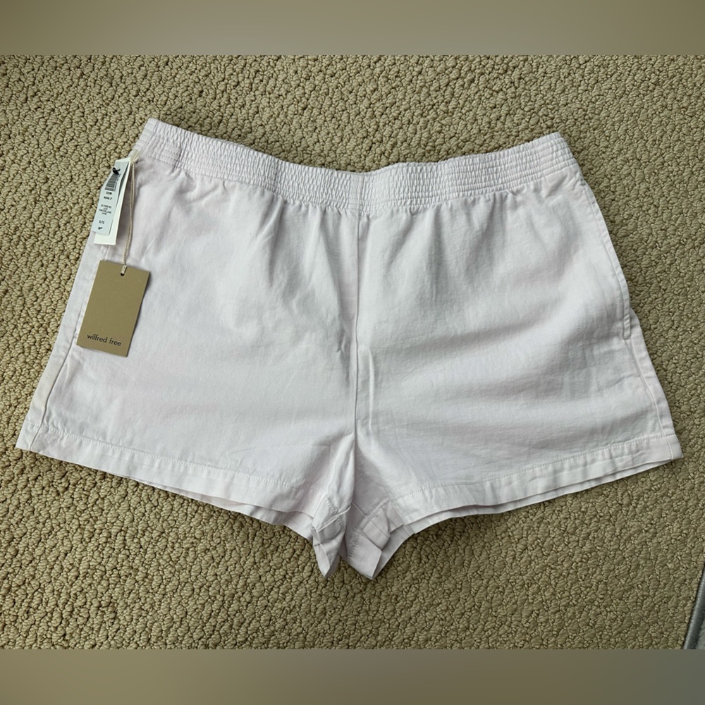 Aritzia Shorts